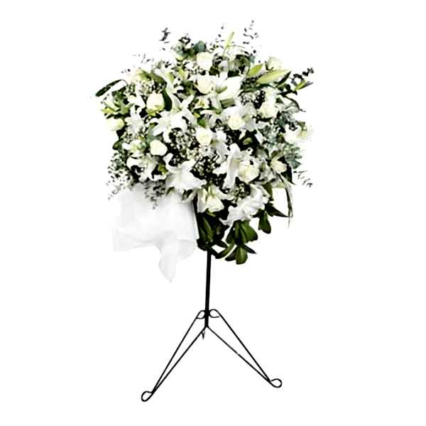 product-media-img